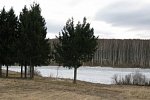Купить земельный участок под ИЖС в КП «Снегири»