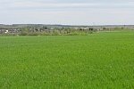 Купить земельный участок под ИЖС в КП «Снегири»
