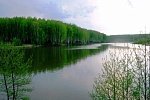 Купить земельный участок под ИЖС в КП «Снегири»