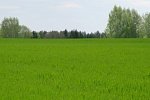 Купить земельный участок под ИЖС в КП «Снегири»
