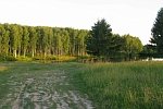 Купить земельный участок под ИЖС в КП «Снегири»