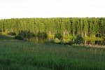 Купить земельный участок под ИЖС в КП «Снегири»